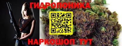 твердый Будённовск