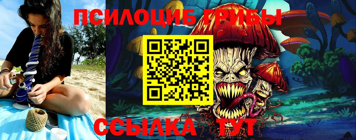 Кимовск  Псилоцибиновые грибы MAGIC MUSHROOMS  Вход с VPN  Галлюциногенные грибы MAGIC MUSHROOMS 