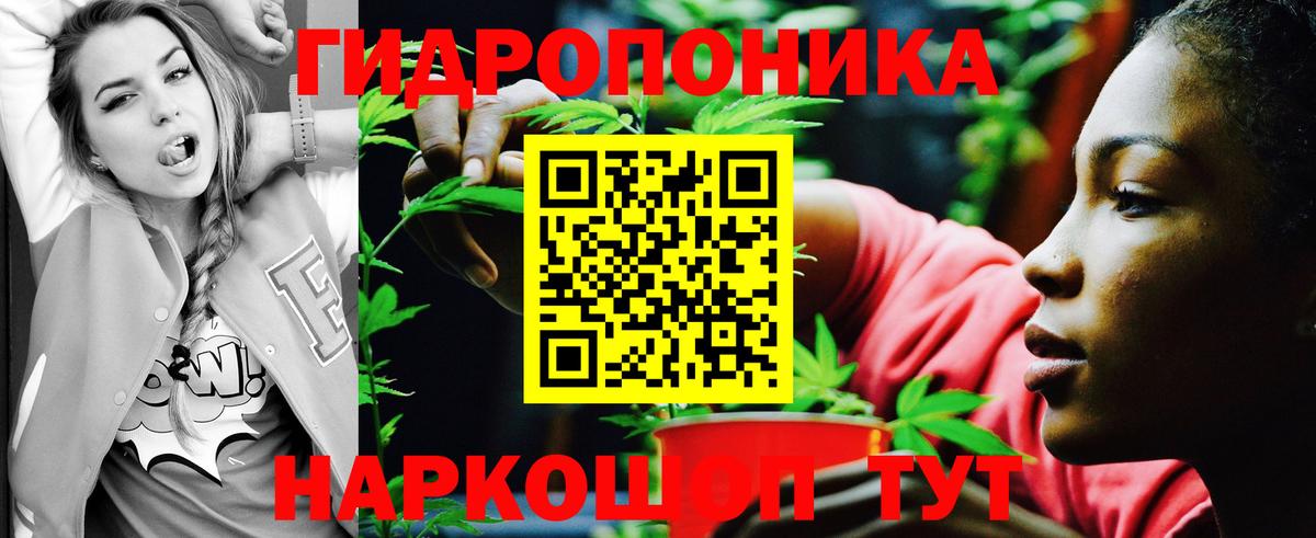 Кимовск  Каннабис SATIVA & INDICA  Конопля планчик  Вход с VPN  МАРИХУАНА OG Kush 